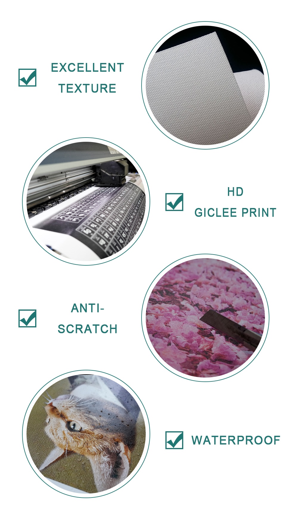 Pink Bus Cactus Pineapple Blue Sea Beach